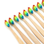 12pcs