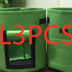 Green3PCS / Large