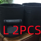 Black 2PCS / Large