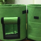 Green / Medium